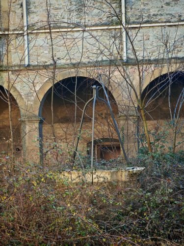 IMG 20260225 162429